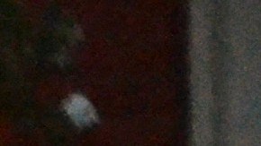 El martes 1 de agosto, el padre Marco Franco (izq.) de la iglesia Santa Inés de Bohemia dirigió la última misa al aire libre de este verano en La Villita. (Belhú Sanabria / La Raza)