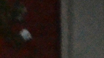 El martes 1 de agosto, el padre Marco Franco (izq.) de la iglesia Santa Inés de Bohemia dirigió la última misa al aire libre de este verano en La Villita. (Belhú Sanabria / La Raza)