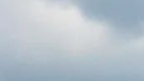 El Acuario Shedd se ubica en el 1200 S. Dusable Lake Shore Drive en Chicago. Foto Google Maps