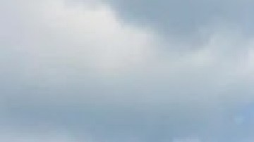 El Acuario Shedd se ubica en el 1200 S. Dusable Lake Shore Drive en Chicago. Foto Google Maps