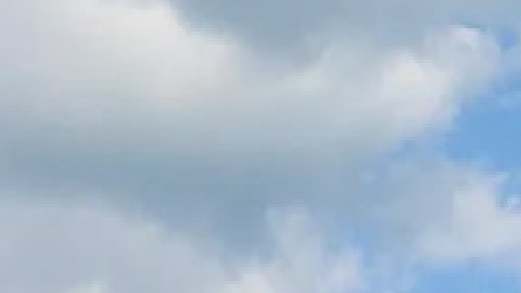 El Acuario Shedd se ubica en el 1200 S. Dusable Lake Shore Drive en Chicago. Foto Google Maps