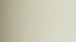 Robert F. Kennedy Jr.