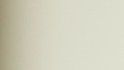 Robert F. Kennedy Jr.