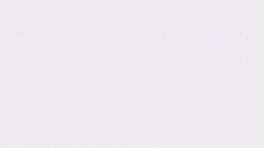 Robert F. Kennedy Jr.