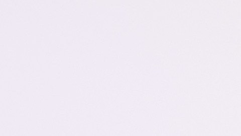 Robert F. Kennedy Jr.