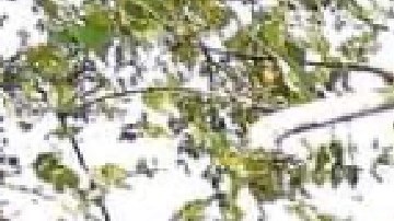 Solicitantes de empleo hacen fila afuera de la agencia para participar en la feria de trabajo. Foto extraída de Facebook de la agencia ULON