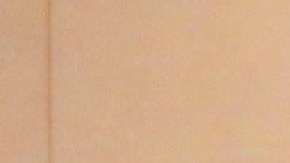 Empleados sindicalizados llegan a un acuerdo de tres años con los principales hoteles de Chicago. Foto extraída de Facebook de UNITE HERE Local 1