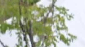 El jefe de la Oficina de Contraterrorismo del Departamento de Policía de Chicago Larry Snelling, fue seleccionado luego de una búsqueda nacional de meses. Foto Departamento de Policía de Chicago