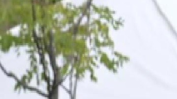 El jefe de la Oficina de Contraterrorismo del Departamento de Policía de Chicago Larry Snelling, fue seleccionado luego de una búsqueda nacional de meses. Foto Departamento de Policía de Chicago