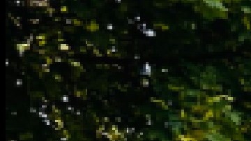 El mercado de agricultores de Logan Square vuelve a funcionar tras una breve cancelación. Foto Extraída de Facebook