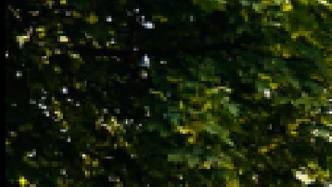 El mercado de agricultores de Logan Square vuelve a funcionar tras una breve cancelación. Foto Extraída de Facebook