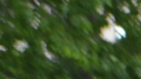 Algunos vecinos se oponen a la construcción de refugios para inmigrantes en sus vecindarios. Los inconformes sienten que sus voces no han sido escuchadas