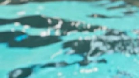 El registro en línea comienza el lunes para los programas de otoño en el Distrito de Parques de Chicago. Foto Impremedia