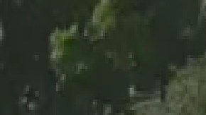 A Joaquín García Jiménez más conocido como el ‘Chilango’, los dueños de lo ajeno le robaron su principal herramienta de trabajo, su carrito ambulante. Foto extraída de GofundMe