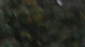 Se enfocará en coordinar los esfuerzos de todos los departamentos de la ciudad para brindar refugio a los habitantes sin techo