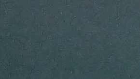 El Dr. Anthony Fauci.