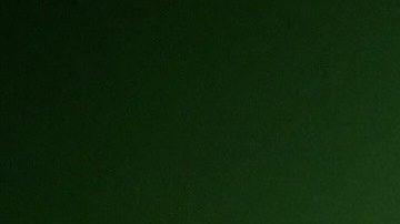 El Festival de Danza Latina de Chicago se realiza el 17 y el 23 de septiembre de 2023. (Cortesía ILCC)