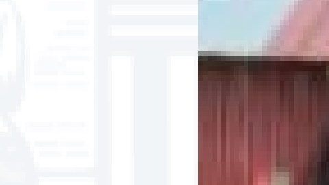 Alyssa Feng, de 12 años, fue vista por última vez en el vecindario de Bridgeport. Foto CPD