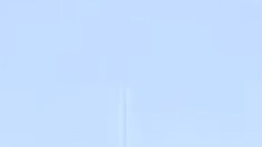 Los inmigrantes ahora ciudadanos estadounidenses llegaron a Estados Unidos desde más de 90 países. Foto captura de Fox 32 Chicago