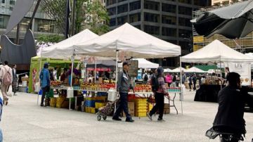 El mercado de agricultores abre todos los jueves en la Plaza Daley en el centro de la ciudad. Foto captura Facebook