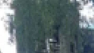 El incendio en la vivienda de Chatham fue sofocado alrededor de las 12:30 pm. Chicago Fire Media