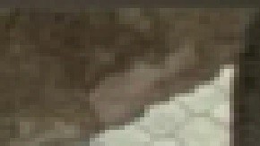 Kaden Fox, de 12 años, es autista, sufre de esquizofrenia, fue visto por última vez en el vecindario de Austin de Chicago. Foto Departamento de Policía de Chicago