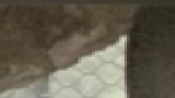 Kaden Fox, de 12 años, es autista, sufre de esquizofrenia, fue visto por última vez en el vecindario de Austin de Chicago. Foto Departamento de Policía de Chicago