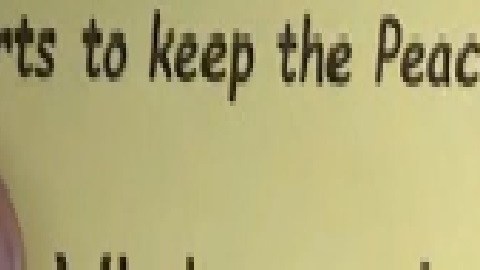 La organización contra el crimen ‘Violence Interrupters’ Foto Impremedia a través de su línea directa contra el crimen busca ayudar a personas en peligro de sufrir violencia doméstica. Foto captura  Fox 32 Chicago