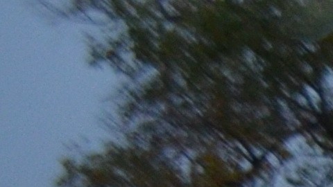 La empresa GardaWorld ayudará al estado de Illinois a establecer otros refugios para migrantes en el futuro.