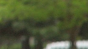 La lucha pro inmigrante en Chicago lleva décadas. En la foto, manifestantes se expresan durante las notables marchas de 2006.