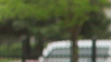 La lucha pro inmigrante en Chicago lleva décadas. En la foto, manifestantes se expresan durante las notables marchas de 2006.