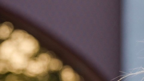 Margarita Quiñones, inmigrante beneficiaria de DACA y autora del libro ‘Homecoming: El viaje a mi hogar’. (Foto de Pratyush Swarup, cortesía de Margarita Quiñones)