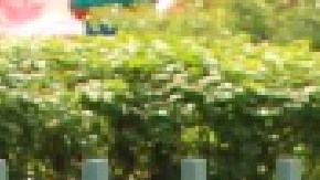 El concejal del Distrito 15, Raymond López, quiere que a su colega Carlos Ramírez-Rosa sea expulsado del Concilio Municipal de Chicago.  Extraída de Facebook Concejal Raymond López