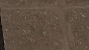 Electores y defensores de vivienda del noroeste de Chicago frente a la oficina del concejal del Distrito 31, Félix Cardona Jr. (Cortesía Palenque LSNA)