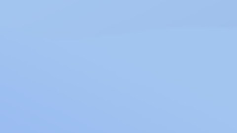 Chicago Survivors que fue fundada en 2010, brinda servicios multiculturales para víctimas y sobrevivientes de delitos a familiares de víctimas de homicidio. Foto extraída Chicago Survivors