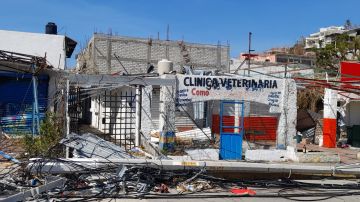 La clínica veterinaria de Mónica Sánchez en Acapulco, devastada por el huracán Otis y por saqueos. (Cortesía Leo Velázquez)