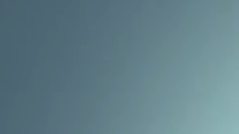 La Dra. Ige es actualmente la directora general de programas de la Fundación Robert Wood Johnson y anteriormente se desempeñó como Comisionada Adjunta del Departamento de Salud e Higiene Mental de la Ciudad de Nueva York. Foto Youtube Departamento de Salud Pública de Nueva Yok