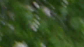 Migrantes que viven a la intemperie, en estaciones de policía y en el aeropuerto O’Hare serán llevados a refugios temporales. (Belhú Sanabria / La Raza)