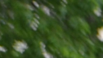 Migrantes que viven a la intemperie, en estaciones de policía y en el aeropuerto O’Hare serán llevados a refugios temporales. (Belhú Sanabria / La Raza)