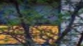 Este hotel de Gold Coast sería el segundo que se abre en esa área de Chicago.