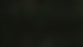 Manifestantes en Chicago exigen acciones para frenar el cambio climático.