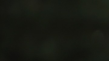 Manifestantes en Chicago exigen acciones para frenar el cambio climático.