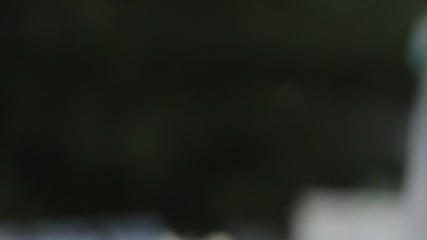 Manifestantes en Chicago exigen acciones para frenar el cambio climático.