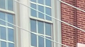 Jóvenes participan en programa de pasantías en la organización SGA Youth & Family Services de Chicago. (Cortesía SGA)