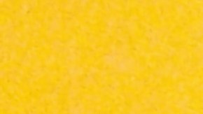 Carlos Tortolero, fundador y presidente del Museo Nacional de Arte Mexicano en Pilsen. (Antonio Zavala / La Raza)