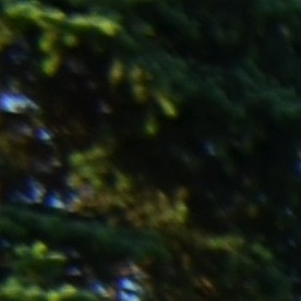 Miles de peregrinos se alistan para honrar a la Virgen Morena en el Cerrito del Tepeyac en Des Plaines. (Belhú Sanabria / La Raza)