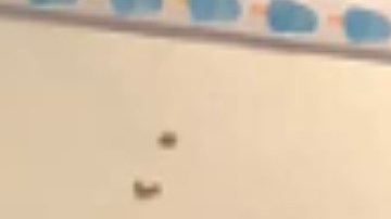 Sunshine Enterprises ayuda a los emprendedores en ascenso, capacitándolos y conectándolos con recursos. Foto Cortesía Sunshine Enterprises