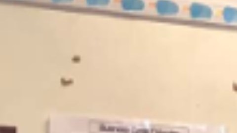 Sunshine Enterprises ayuda a los emprendedores en ascenso, capacitándolos y conectándolos con recursos. Foto Cortesía Sunshine Enterprises