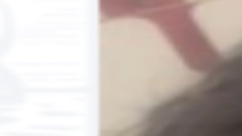 A manera de precaución, el niño fue llevado al Hospital Roseland para una evaluación médica.  CPD