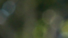 Activistas y beneficiarios del programa DACA defienden ese esquema que beneficia a cientos de miles de personas que llegaron sin documentos a EEUU siendo niños.